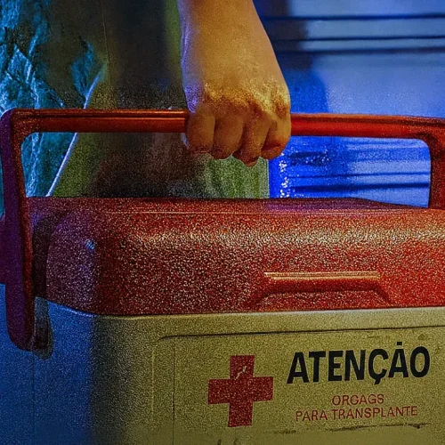 Transporte de Materiais Biológicos e Hospitalares: Entenda as Exigências, Licenças e Responsabilidades